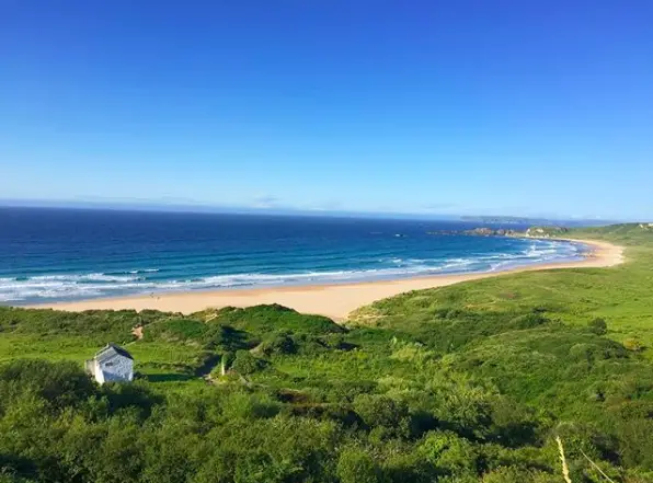 Preciosa imagen de la costa irlandesa, que combina bosque, mar y playa.